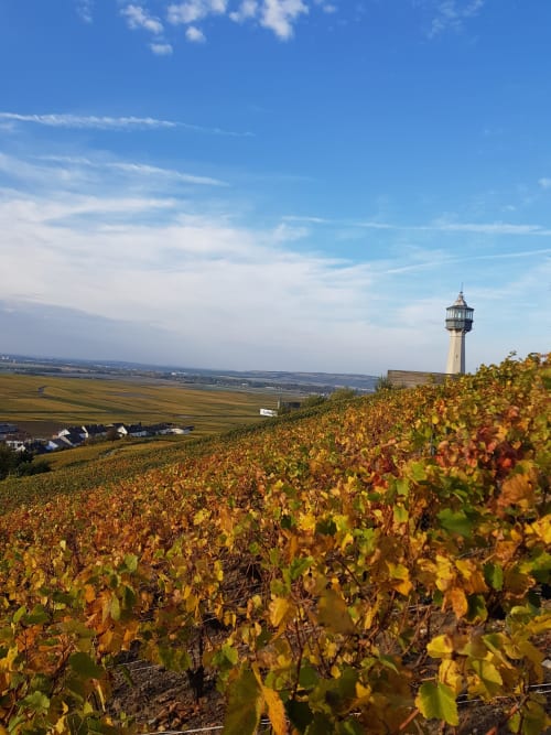 Lighthouse of Verzenay - Verzenay - lighthouse in the vineyards - Champenois -