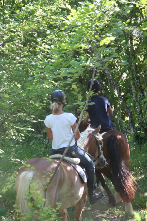 horse riding through countryside - Maison d'hôtes de La Boissière in Andillac