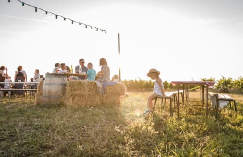 apéro concert chez un vigneron - activité aux alentours - Maison d'hôtes de La Boissière à Andillac -  📷 L.Frézouls