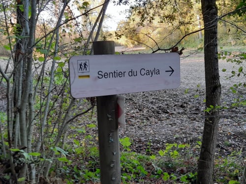 hiking trail - activities - Maison d'hôtes de La Boissière in Andillac