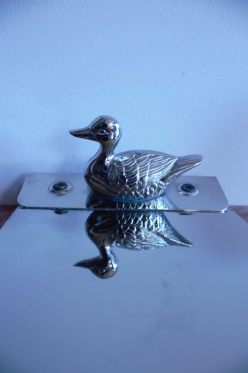 Canard, objet de décoration, vestibule entrée Domaine des Thomins Maison d'hôte Cisai Saint-Aubin Hôtel Gacé