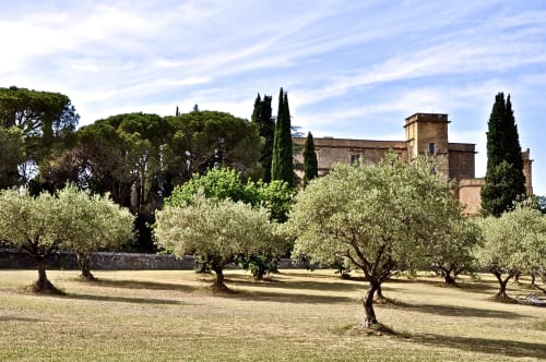 Tuscan villa with olive grove in Gordes, France - Provence Km28 bed and breakfast