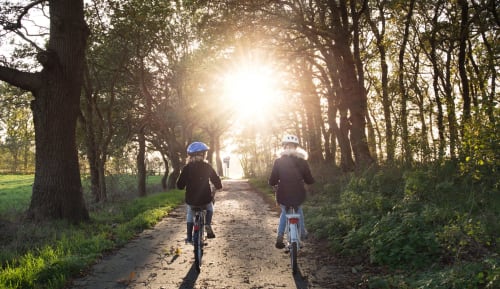 Faire du vélo en Auvergne | Bois de Luna