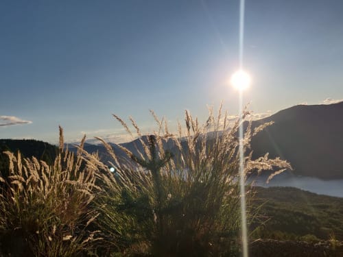 Graminées dorées avec vue sur la vallée montagnarde au lever du soleil, Le Lauzet-Ubaye