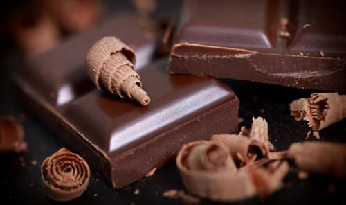 Spend an exceptional moment at the Max Vauche chocolate factory - Bracieux
