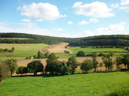 Vue sur la campagne, Domaine des Grattières. 