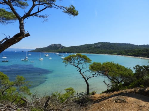 Beaches Cote d'Azur - Hôtel les Oliviers 3*