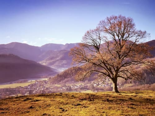 gite pour randonner Vosges, gîte pour randonner Alsace, gite famille équipé Alsace, gite Carpe Diem, côté montagnes, chalet la cachette du ballon