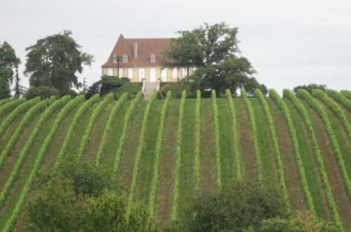 Visir the vineyards of Madiran, Plaimont ou Saint Mont |  Armagnac tasting | Department Gers