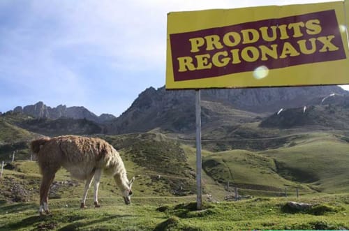 Taste the best regional products of the South West | Domaine à Marmande |  France