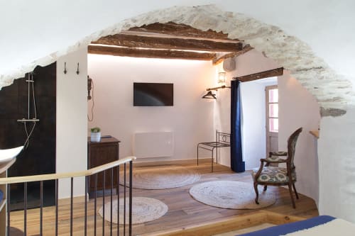 Guest room with vaulted ceiling, TV area and room with walk-in shower. 