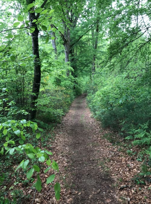Chemin de randonnée depuis la maison d'hôtes | Chambres d'hôtes Escale en Corrèze