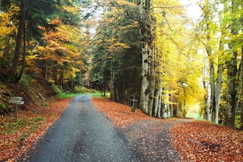 Autumn near La Fougeraie