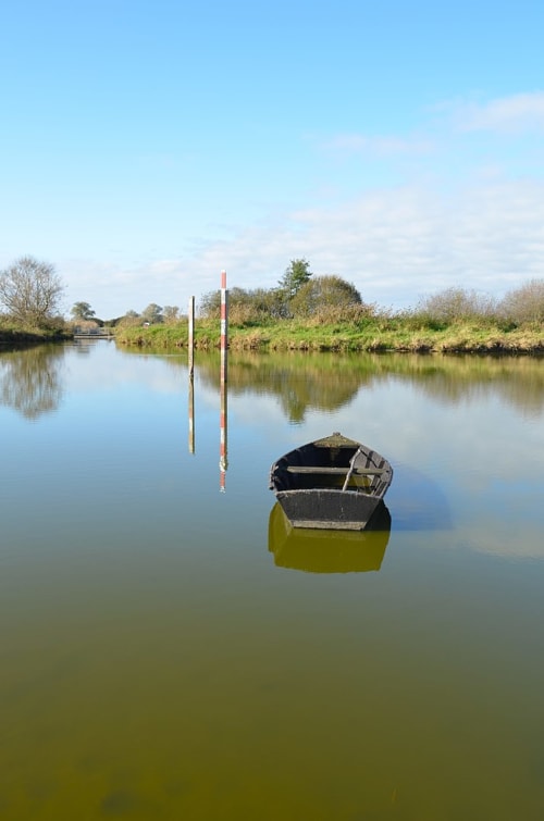 Se promener en pleine nature au lac de Grand-Lieu en Loire-Atlantique