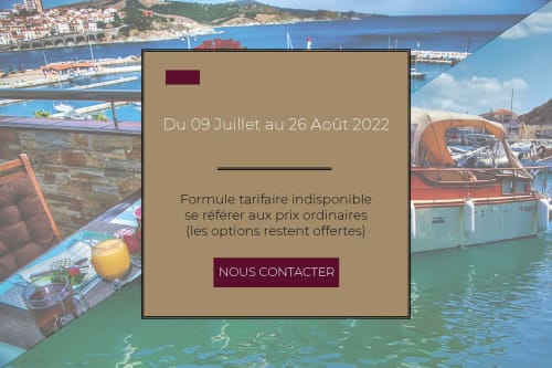 Banyuls-sur-Mer harbor with colorful boats, Mediterranean sea, and coastal town backdrop