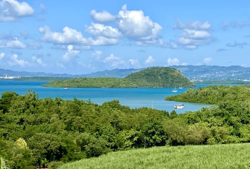 maison les pieds dans l'eau martinique