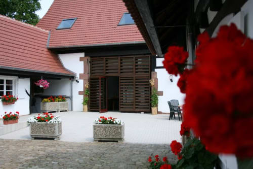 gite de france hunspach - Hunspach alsace - Hunspach colmar - Gîtes et chambres d'hôtes Maison Ungerer Hunspach - Alsace France