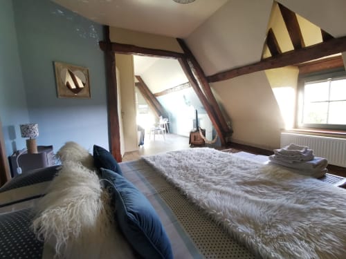 Spacieuse chambre mansardée à La Cour d'Hortense avec poutres apparentes, lits jumeaux et vue sur le jardin à Sailly-Flibeaucourt