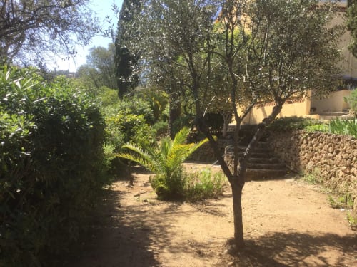 Jardin - Location de vacances à Saint-Aygulf - Appartements - Villa Macoran - Côte d'Azur - Fréjus - Saint-raphaël