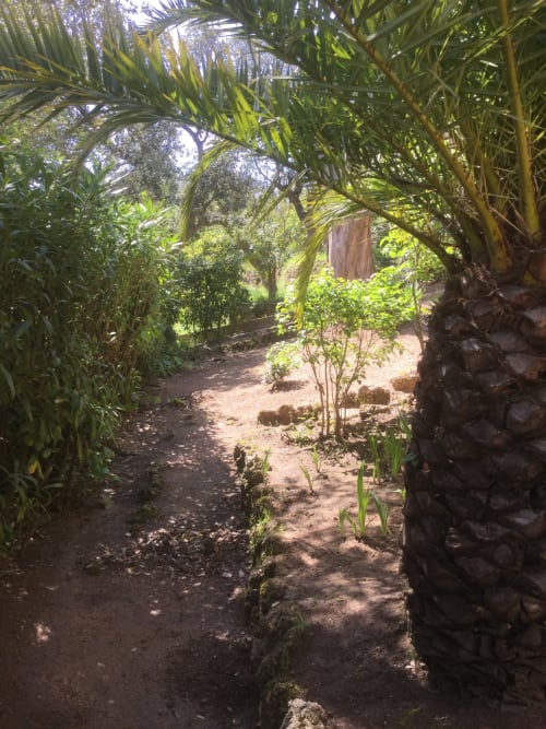 Jardin - Location de vacances à Saint-Aygulf - Appartements - Villa Macoran - Côte d'Azur - Fréjus - Saint-raphaël