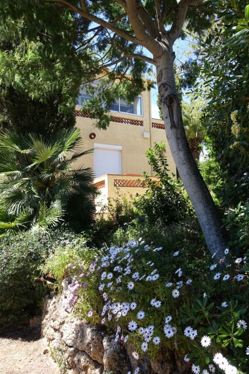 Jardin fleuri - Location de vacances à Saint-Aygulf - Appartements - Villa Macoran - Côte d'Azur - Fréjus - Saint-raphaël