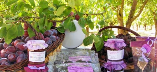 Le pruneau d'Agen, spécialité du Lot et Garonne Foie gras canard