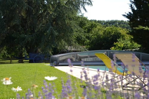 pelouse, décoration, fleurs et plantations autour de la piscine