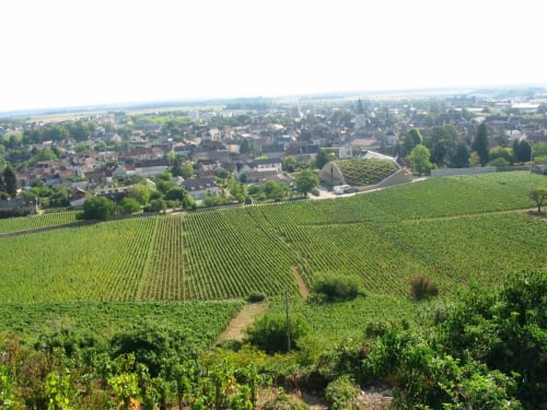 Nuits-Saint-Georges | Gîte l'Orée de Nuits