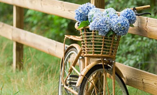 Location de vélos - Gien | Ecogîtes la Maréchalerie et le Nichoir