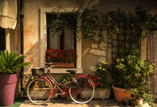 Vacances dans le Loiret à vélo | Ecogîtes la Maréchalerie et le Nichoir