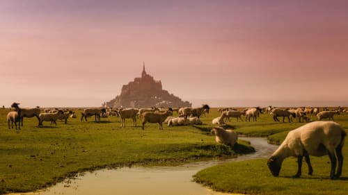 Visiter le Mont Saint Michel