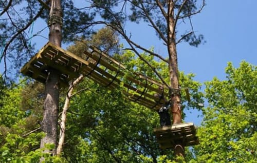 Faire de l'accrobranche à Neuve en Sullias | Ecogîtes la Maréchalerie et le Nichoir