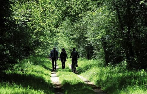 Vélo dans le Loiret | Ecogîtes la Maréchalerie et le Nichoir