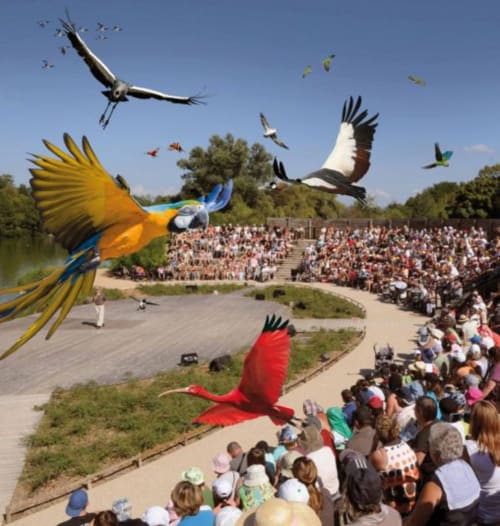 Parc aux oiseaux à 45 minutes, clos Ayanna, Chambre d'hôtes. 