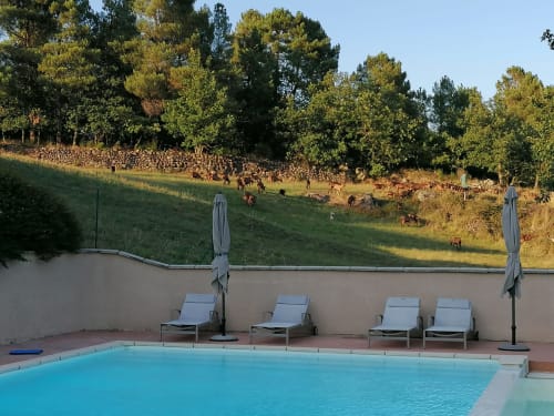 gîte gîtes le mas clémentine foret chèvre nature campagne ardeche piscine