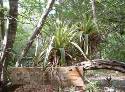 Gîte en pleine nature - Guadeloupe | Esprit Caraibe