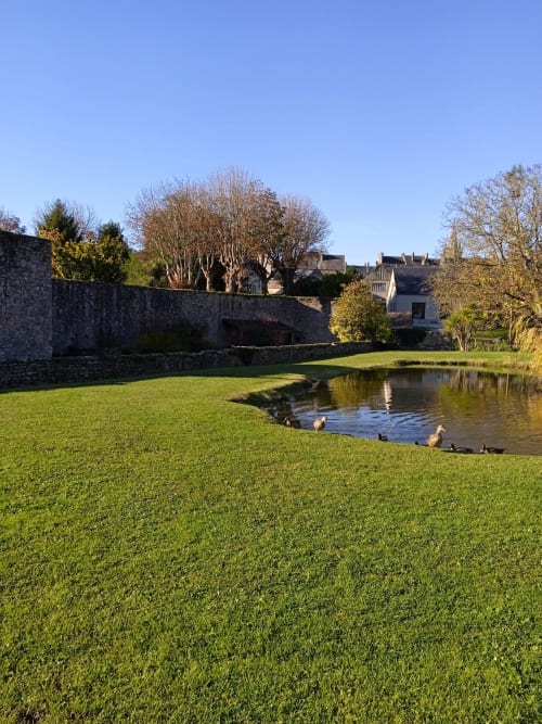 Château de pierre avec pelouse verdoyante et étang aux oies à Les Clematis en Cotentin, Saint-Floxel