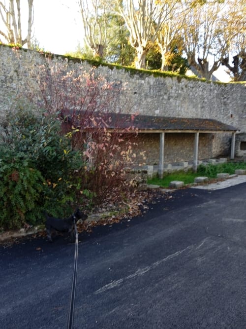 Maison en pierre avec porche couvert aux Clématites en Cotentin, Saint-Flocel, entourée de feuillages d'automne