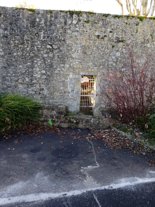 Entrée d'un bâtiment en pierre patinée avec porte barricadée aux Clématites en Cotentin, Saint-Floxel