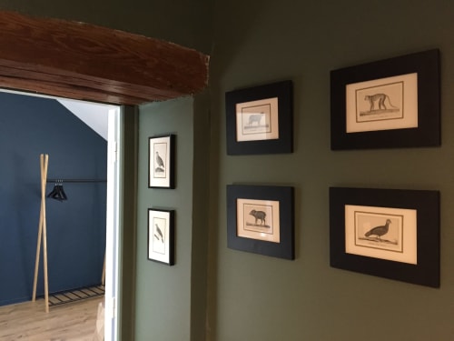Hallway at Les Maisons de Chamirey showing sage green walls with framed animal engravings and wooden ceiling beam near