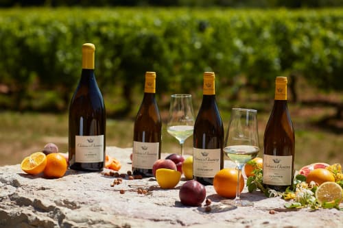 Château de Chamirey wines displayed with fresh fruits and vineyard views in Mercurey, France