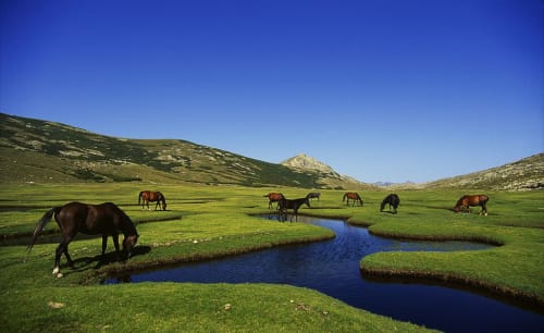 Lac de Nino | Location Lucciana