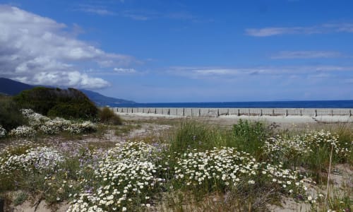 Plage de la Marana | Location Lucciana