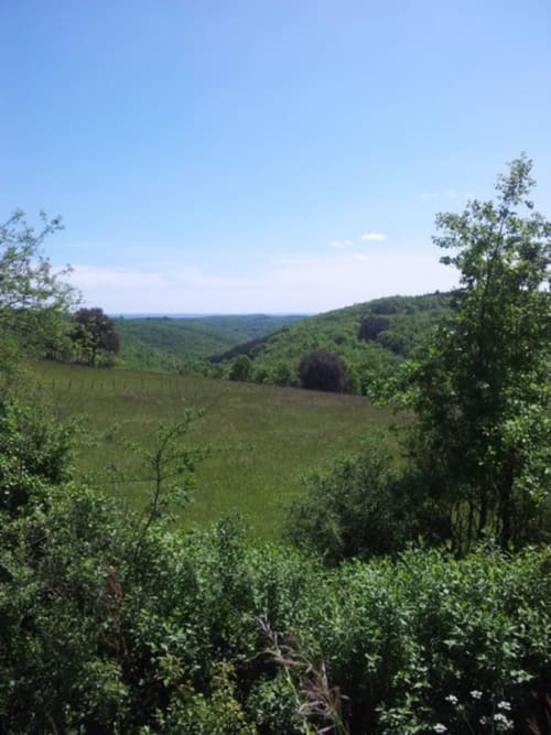 Vue depuis la cabane des figuiers | Les Insolites du Périgord