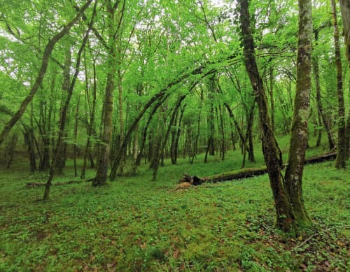 Jeux grandeur nature en Dordogne | Les Insolites du Périgord
