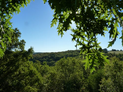 Cabane avec vue | Les Insolites du Périgord
