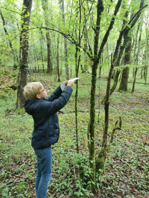 Jeux d'orientation - Les Insolites du Périgord