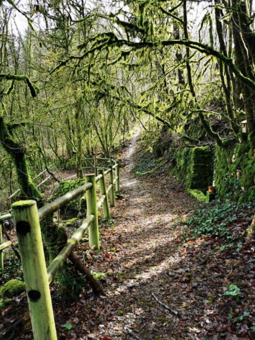 Hébergements insolites au coeur du Périgord - Les Insolites du Périgord