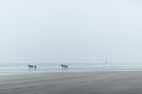 Chevaux et charrette sur la plage du Domaine de Blanvatel, Saint-Pierre-en-Auge, France