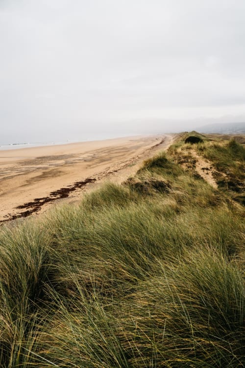 Dunes côtières balayées par le vent avec oyat au Domaine de Blanvatel, Saint Pierre en Auge, Normandie